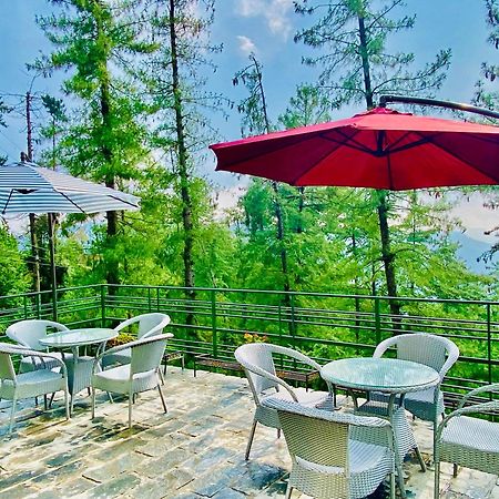 Valley View Resort Mashobra - Best Holiday Home For Vacations 심라 외부 사진