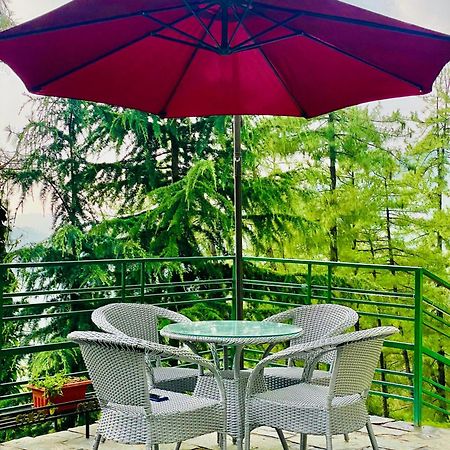 Valley View Resort Mashobra - Best Holiday Home For Vacations 심라 외부 사진