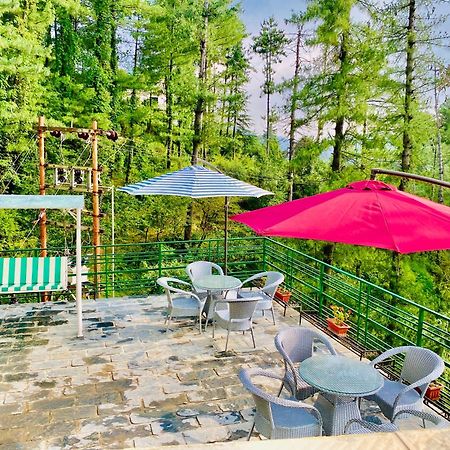 Valley View Resort Mashobra - Best Holiday Home For Vacations 심라 외부 사진